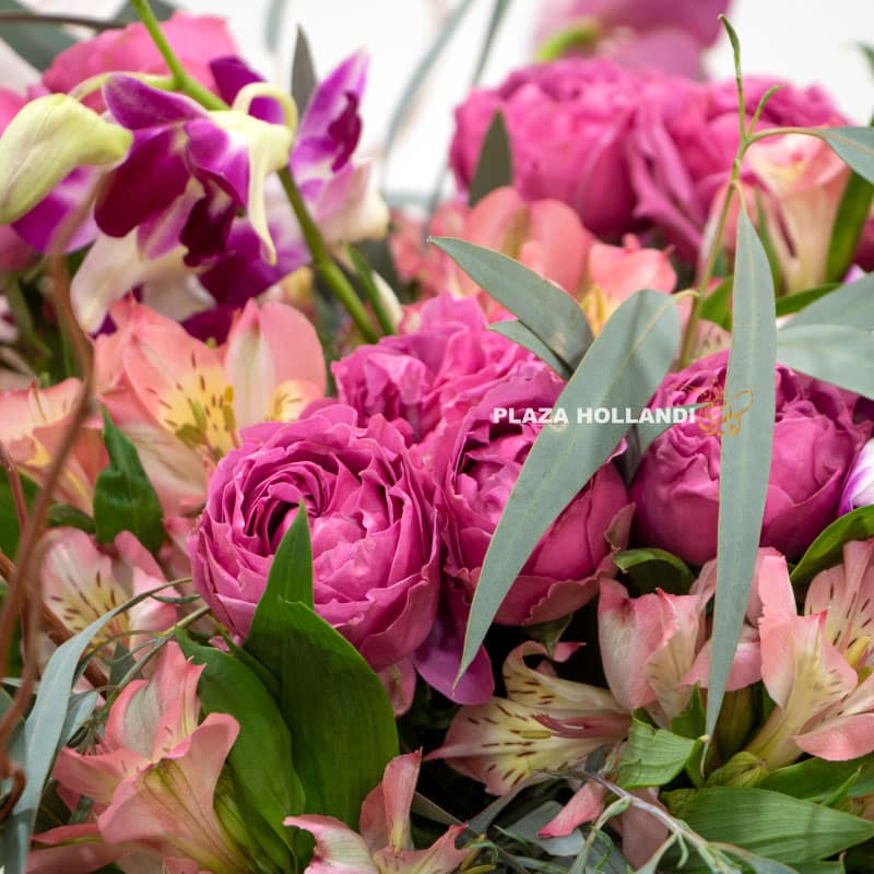 5.5 Close up of purple spray rose flowers