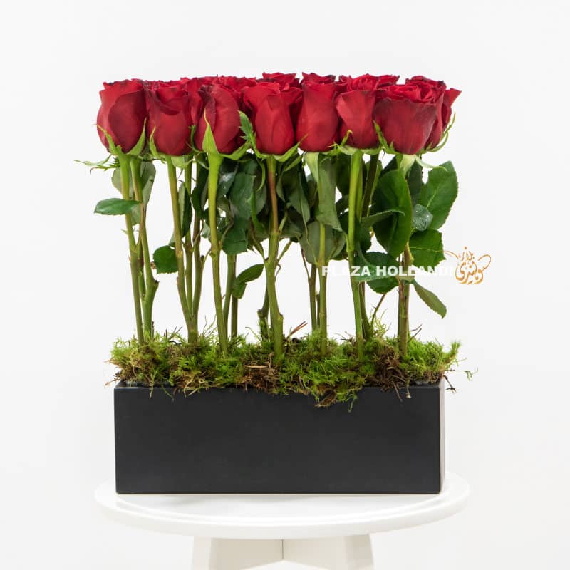 8 red roses in a black box