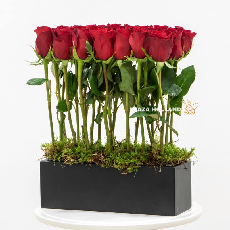 8.3 red roses in a black box