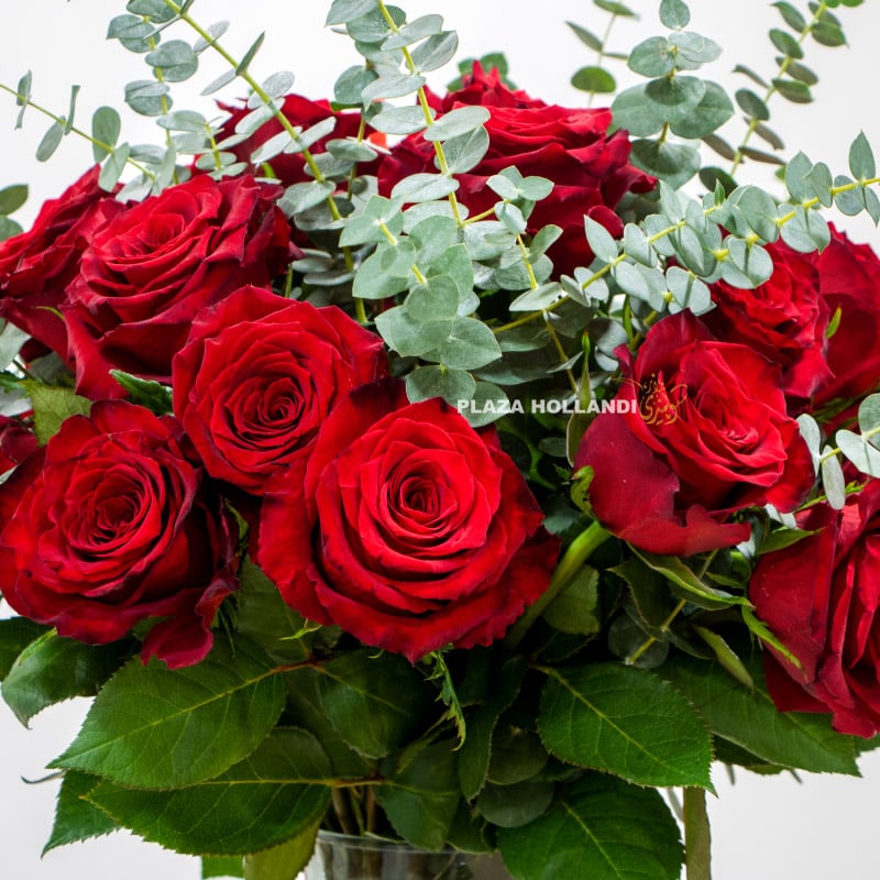 2.2 close up of red rose bouquet