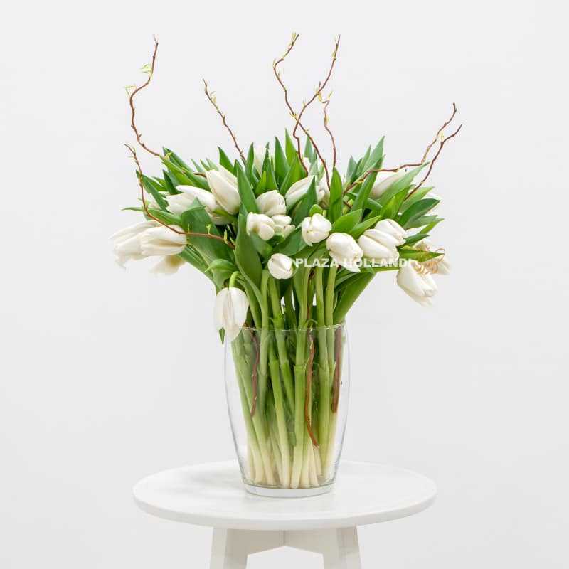 2 White tulips and salex in a vase