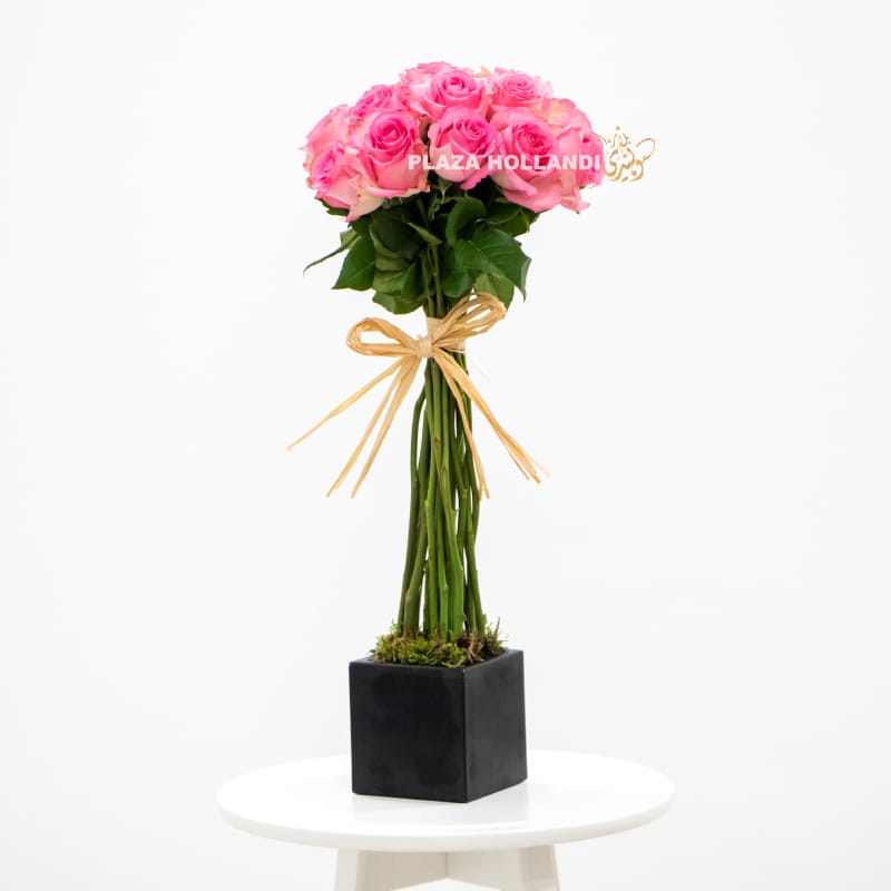 2.1 pink roses in a black box