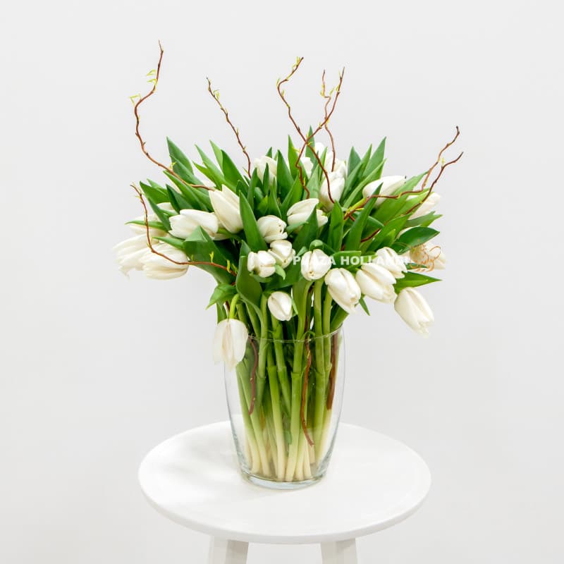 2.3 White tulips in a glass vase