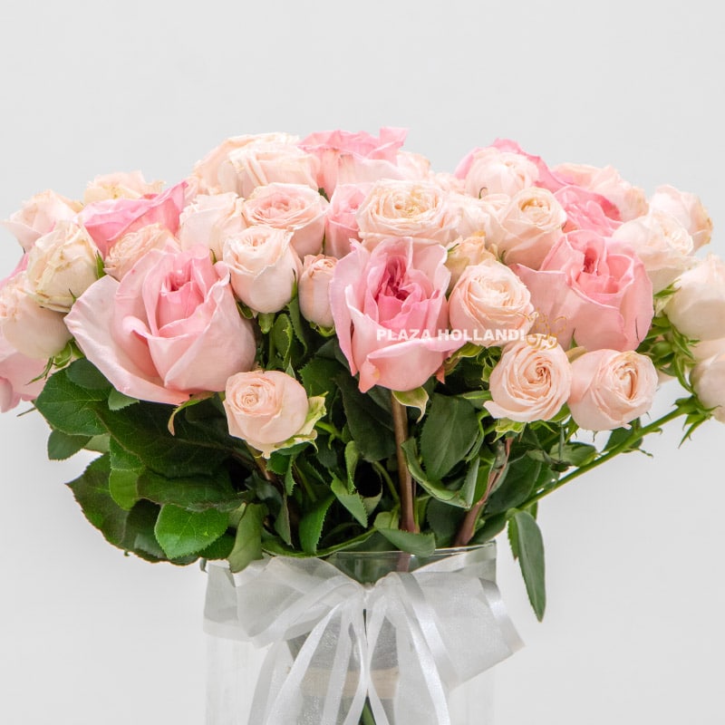 3.2 Close up of pink roses