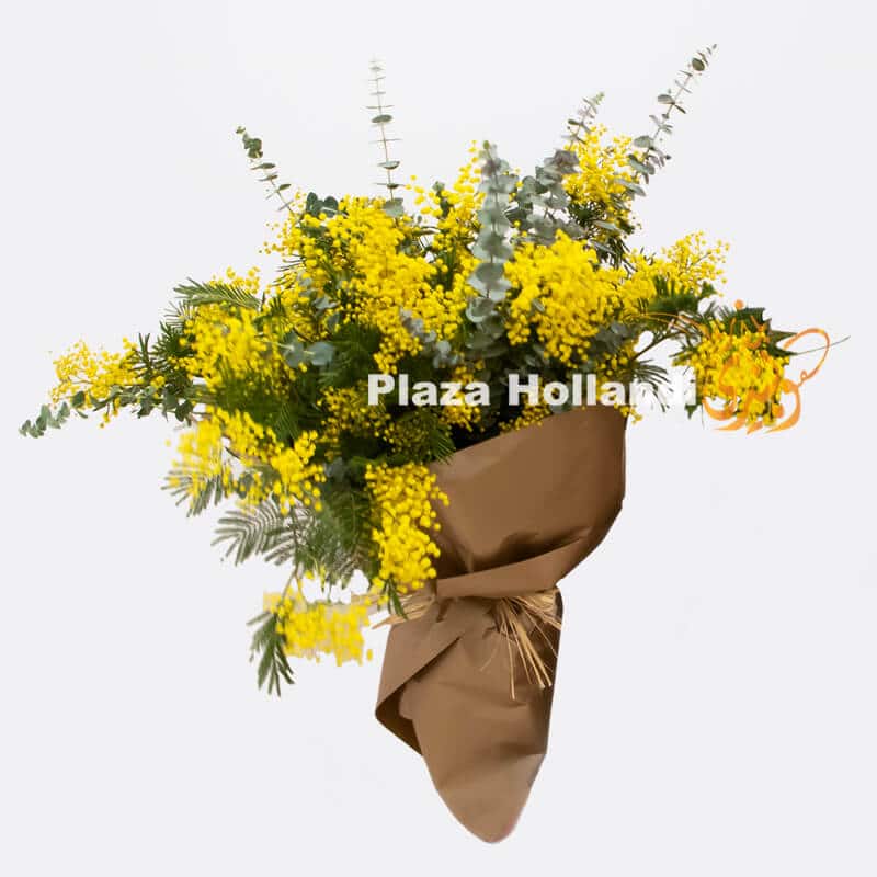 For Webshop 2 Mimosa Bouquet