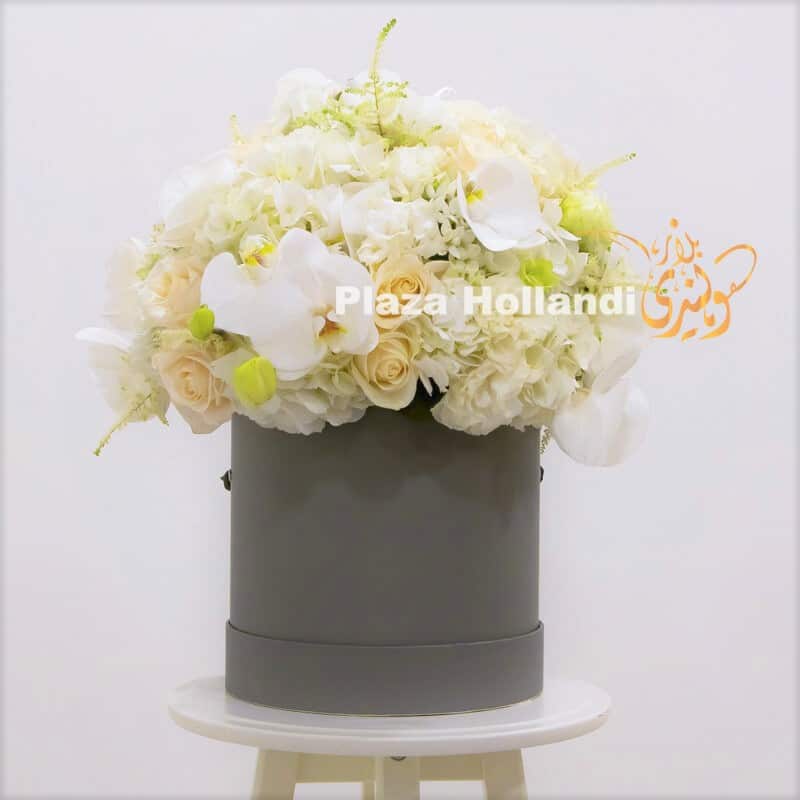 Q1 1 Plaza Hollandi box with white and cream flowers back side