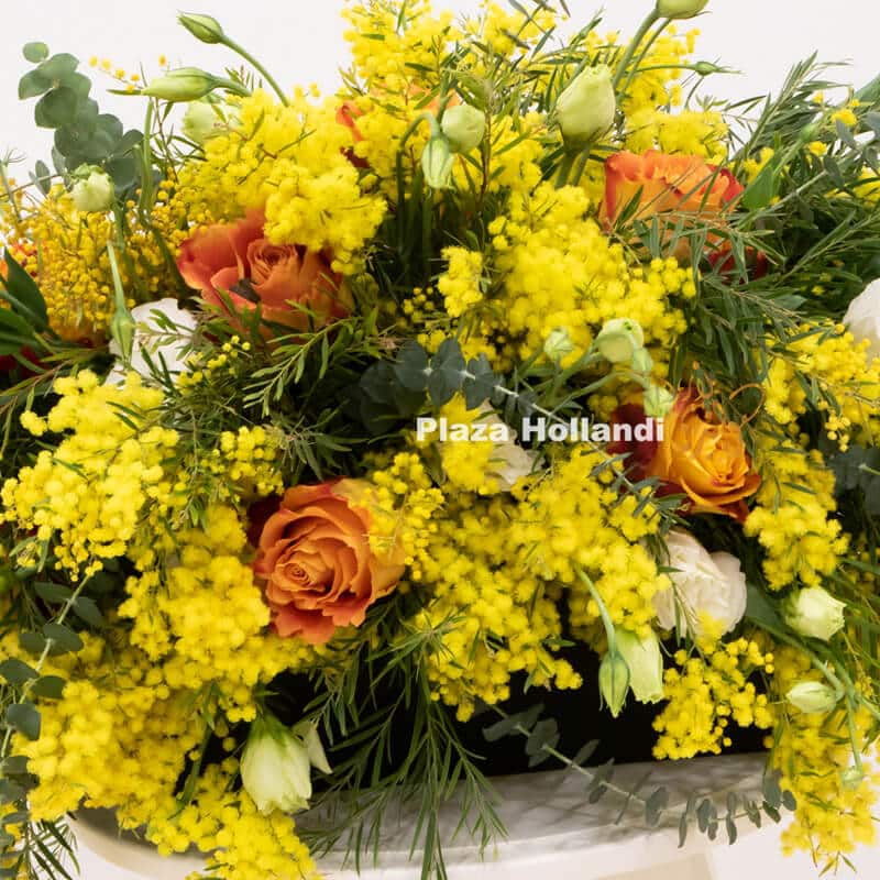 Y1 Close up of mimosa flower arrangement