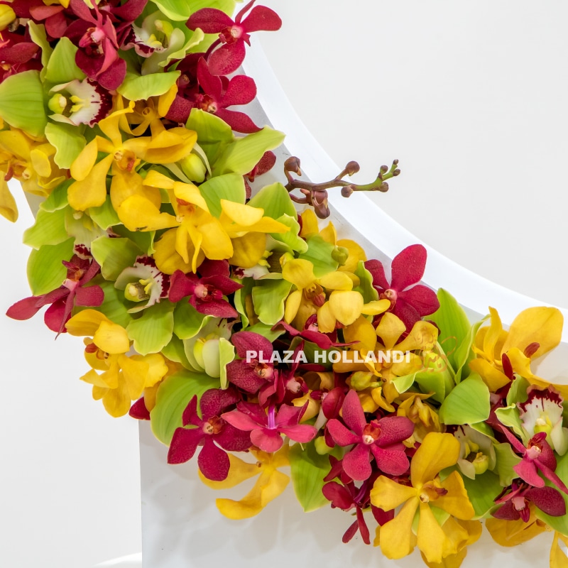 1.2 Close up of orchid flowers in crescent moon