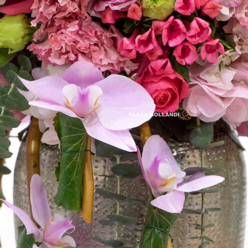 2.5 Close up of orchids