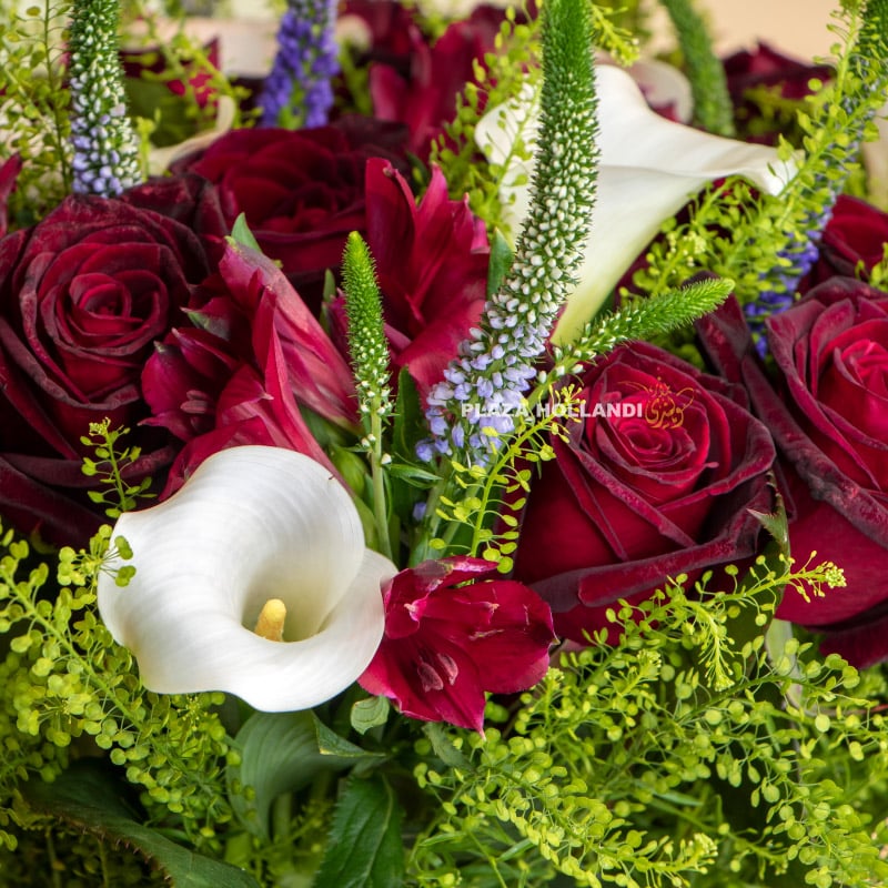 3.4 close up of calla lily and roses