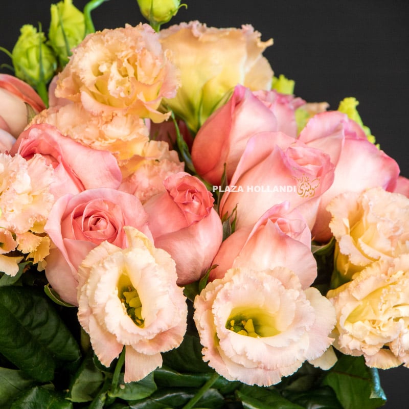 4.3 Close up of Eustoma