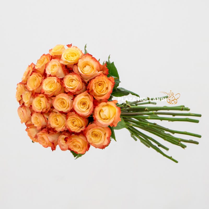 1 25 stems of orange roses