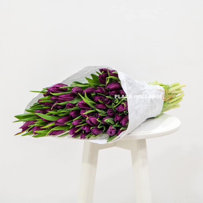 2 50 purple tulips