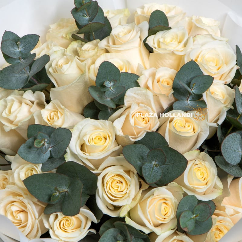 6.2 white roses and eucalyptus
