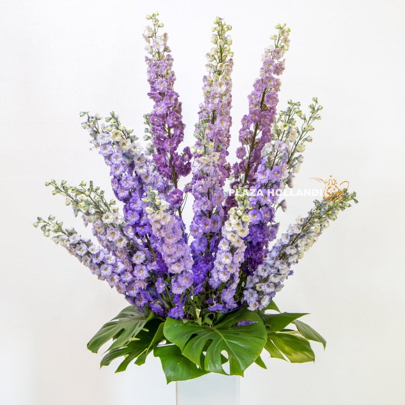 1.2 close up of purple delphinium