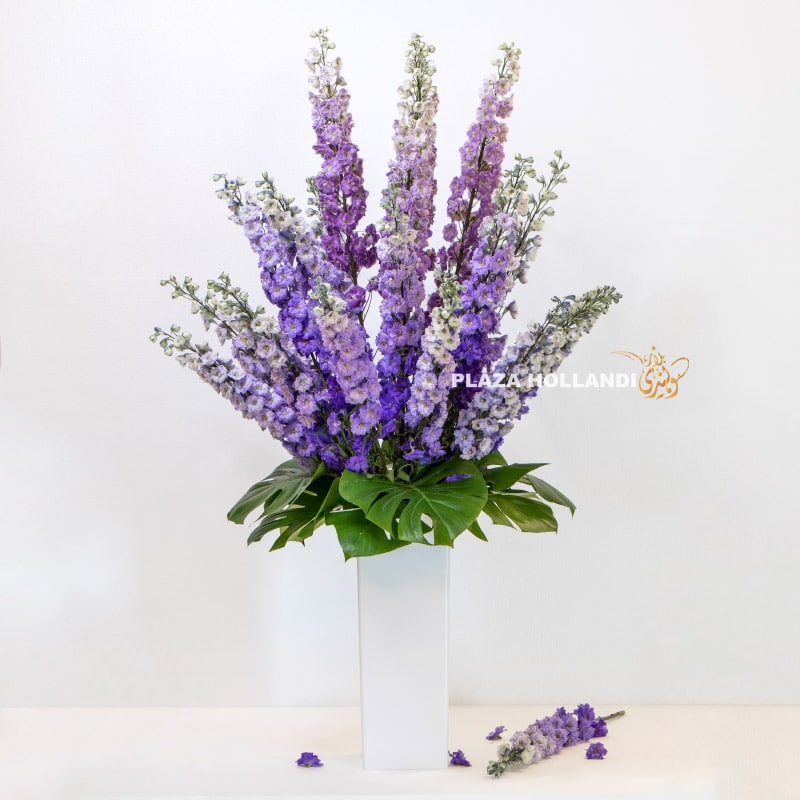 1 Light purple delphinium in a white vase with monstera leaves