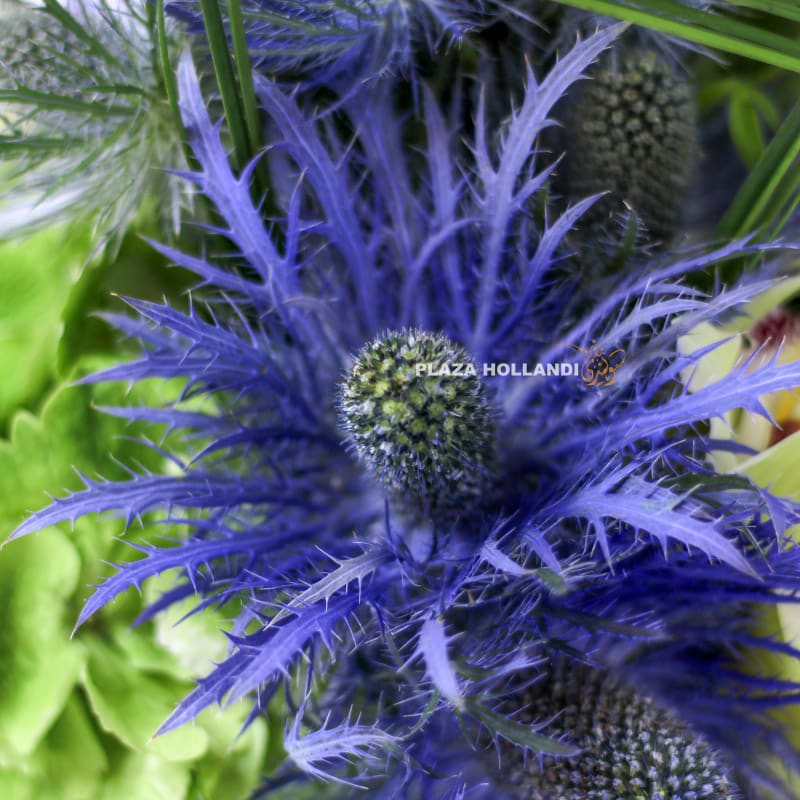 Hanan Flower Arrangement Hanan Flower Arrangement
