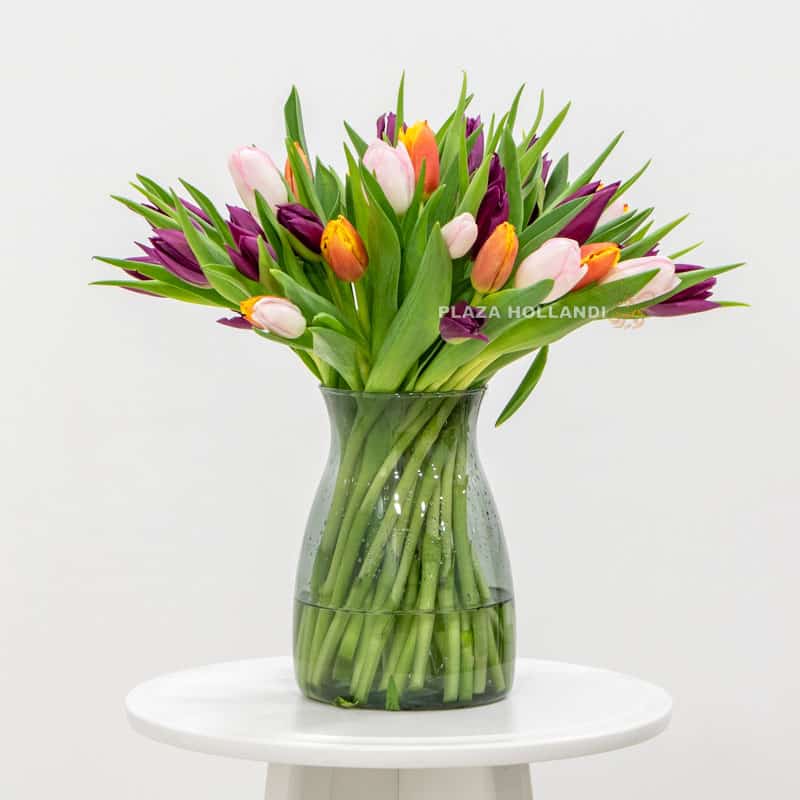 50 Mixed Tulips In A Glass Vase 50 Mixed Tulips In A Glass Vase