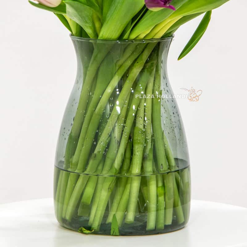 50 Mixed Tulips In A Glass Vase 50 Mixed Tulips In A Glass Vase