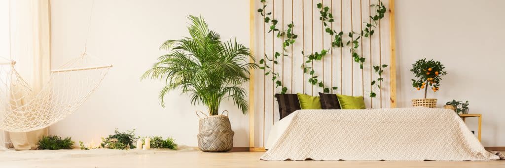 Amazing Trees 12 Bedroom full of indoor plants