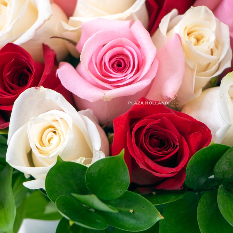 Mixed Colour Roses Bouquet With Glass Vase Mixed Colour Roses Bouquet With Glass Vase