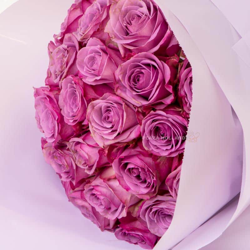 25 Stems Of Purple Roses 25 Stems Of Purple Roses