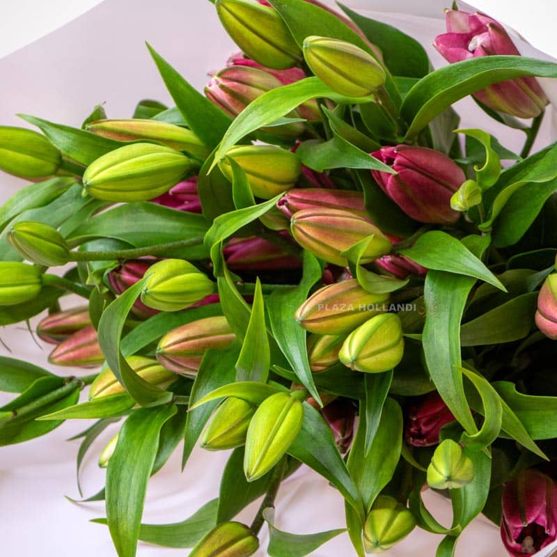 Blushing Lily Bouquet Blushing Lily Bouquet
