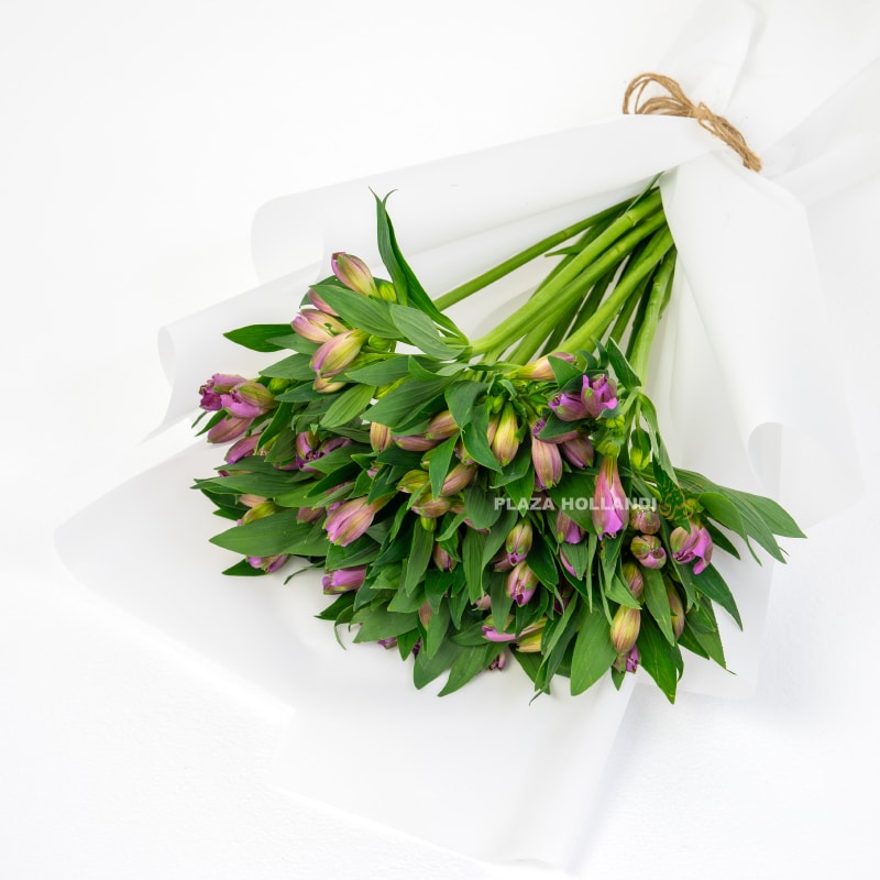 Purple Alstroemeria Bouquet Purple Alstroemeria Bouquet