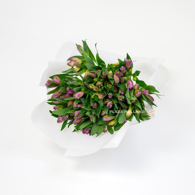 Purple Alstroemeria Bouquet Purple Alstroemeria Bouquet