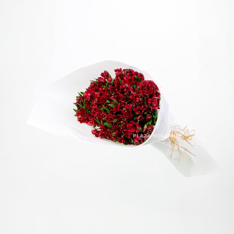 Red Alstroemeria Bouquet Red Alstroemeria Bouquet