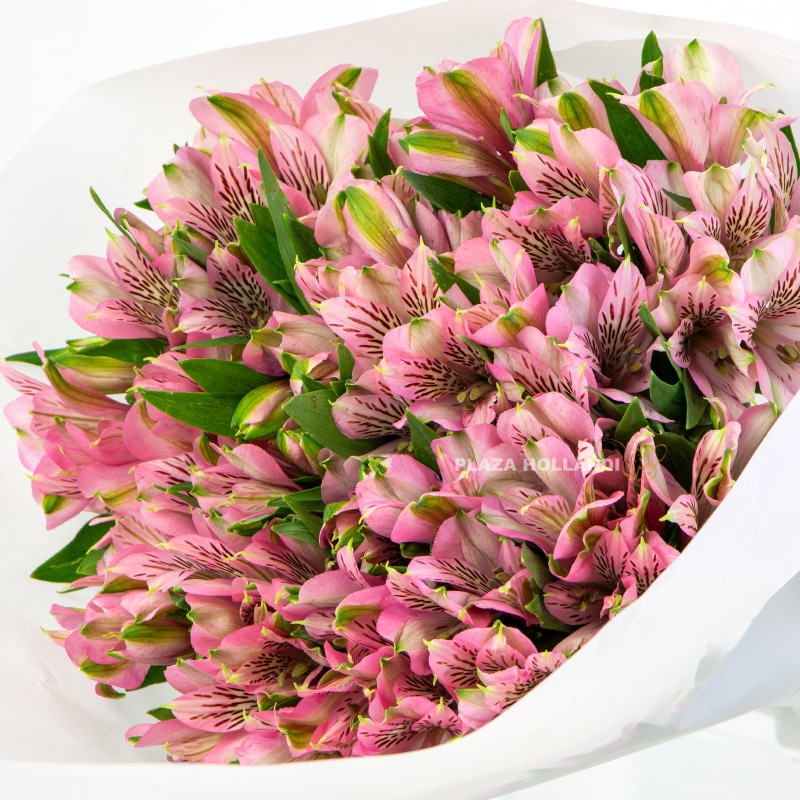 Pink Alstroemeria Bouquet Pink Alstroemeria Bouquet