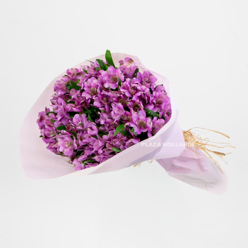 Purple Alstroemeria Bouquet Purple Alstroemeria Bouquet