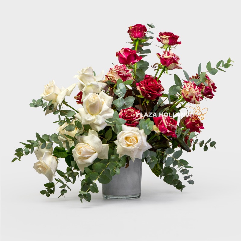 6 "National Elegance" Roses for the Celebration