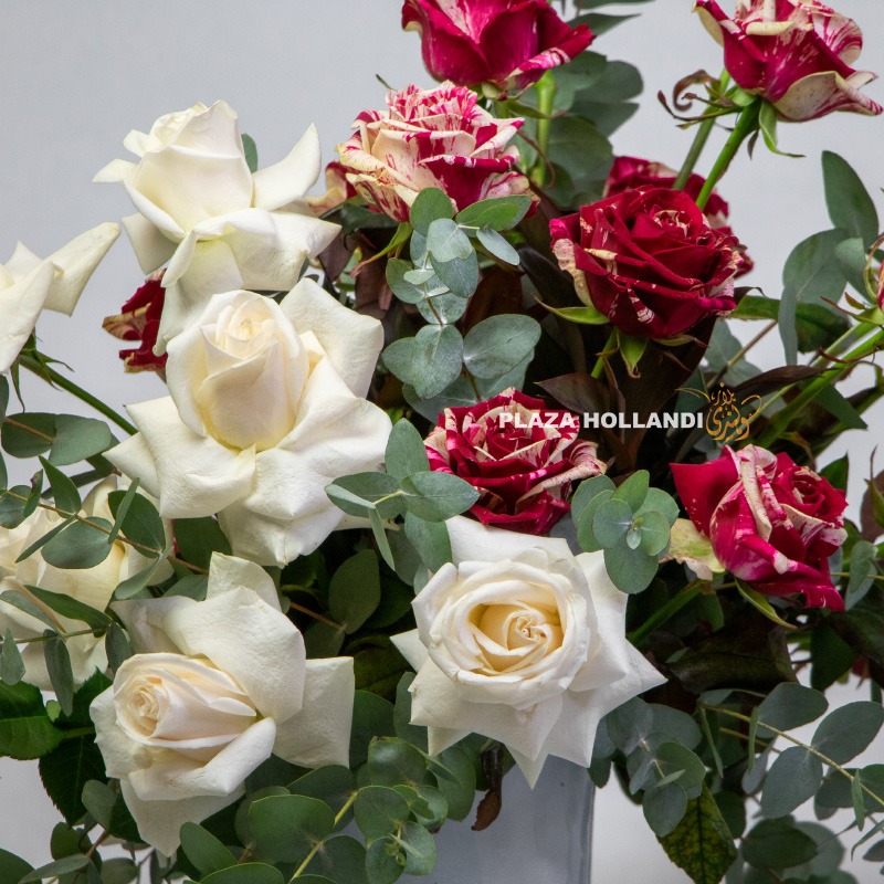 6.2 "National Elegance" Roses for the Celebration