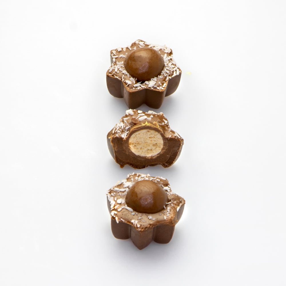 Chocolate - (8) Going Nuts Large 24pcs