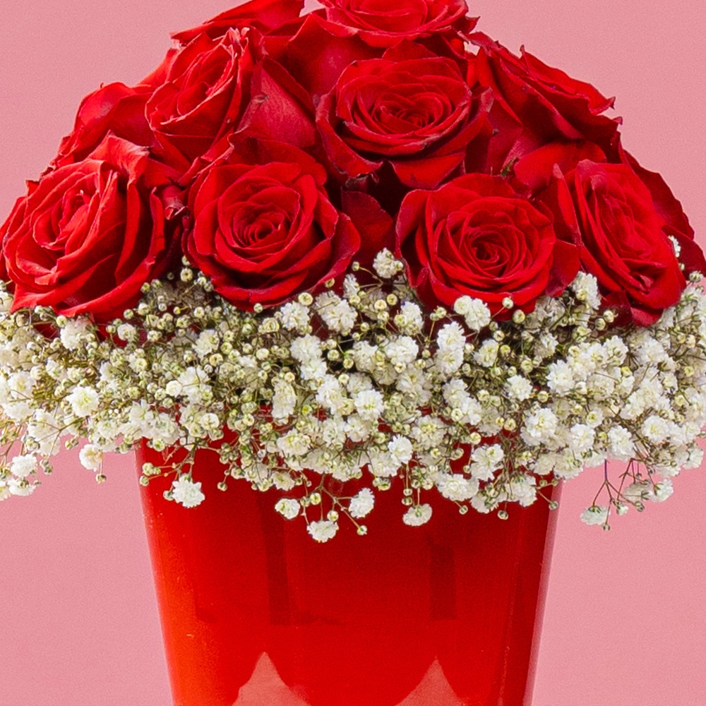 A7 1 Passionate Petal Symphony