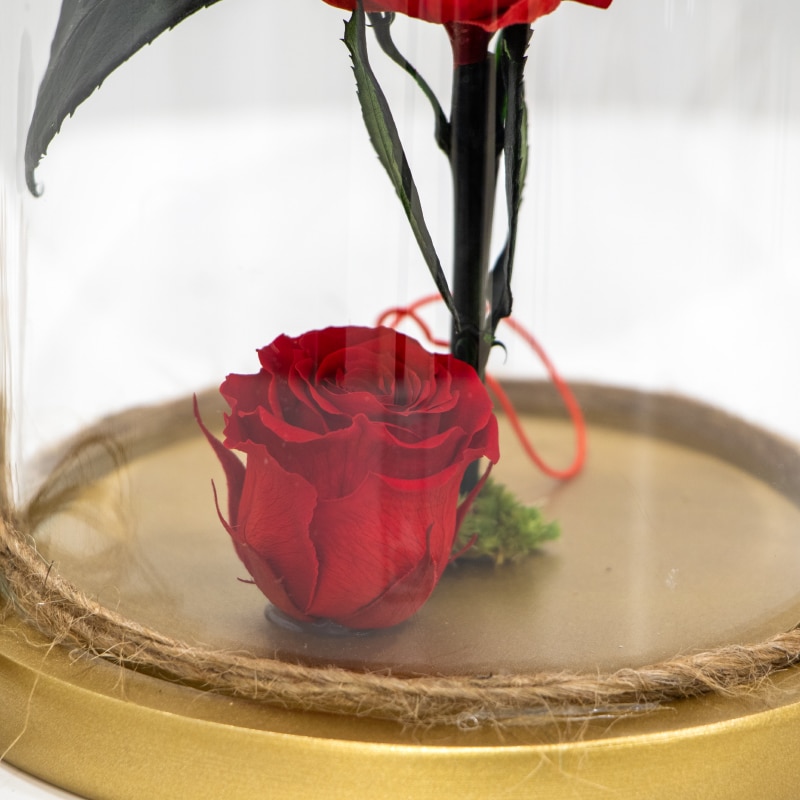 Preserved Roses 1.3 800 Forever Rose