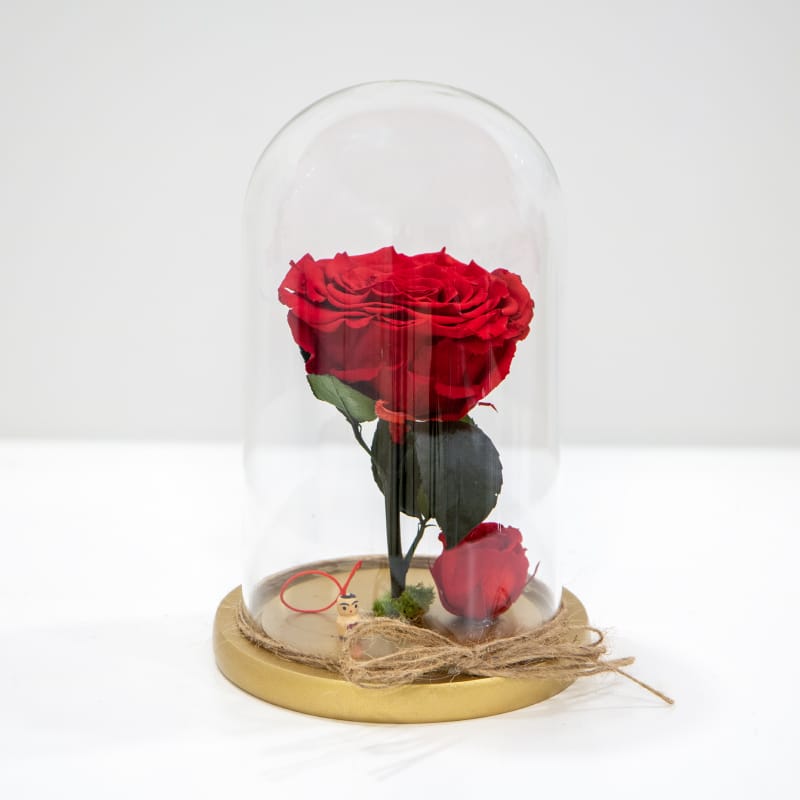 Preserved Roses 800 Forever Rose