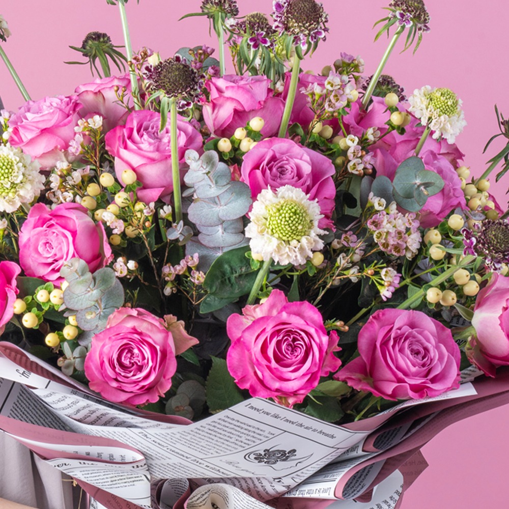 WD 01C Rose in Bloom
