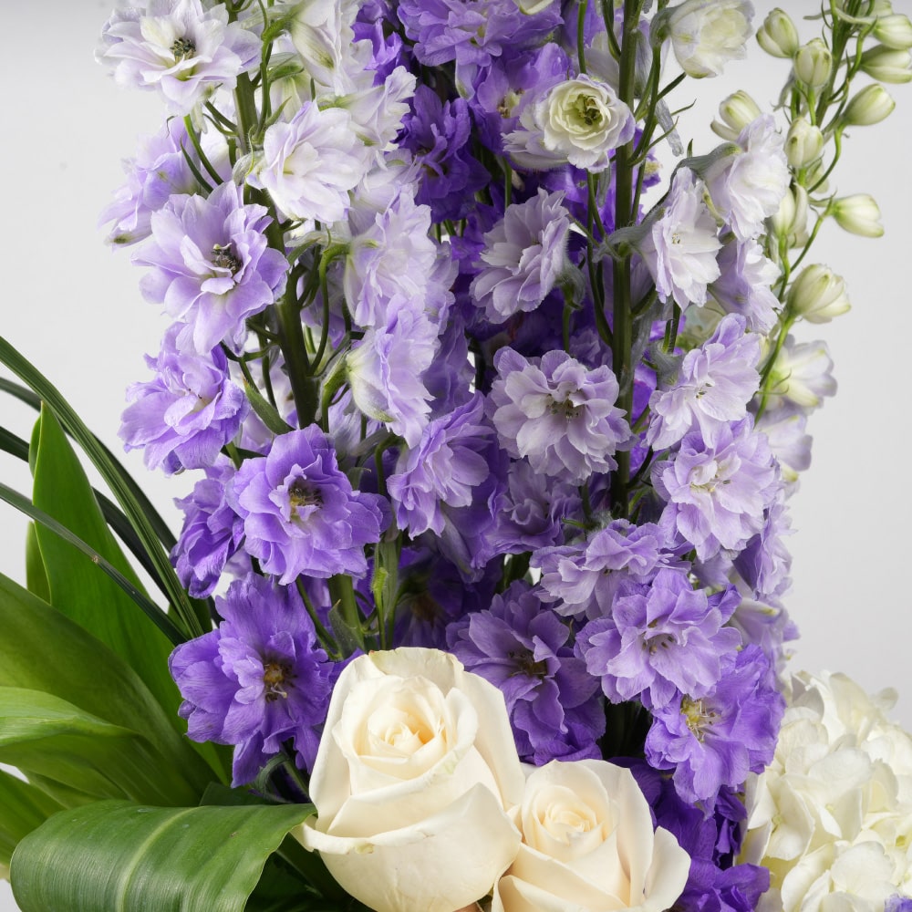 3.2 Pure White Rose and Tulip Melody