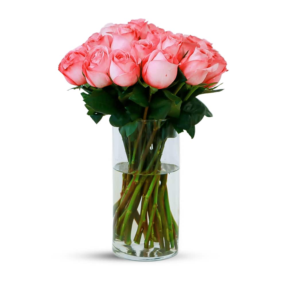 Light Peach 25 Pink X-Pression Garden Rose with Glass Vase