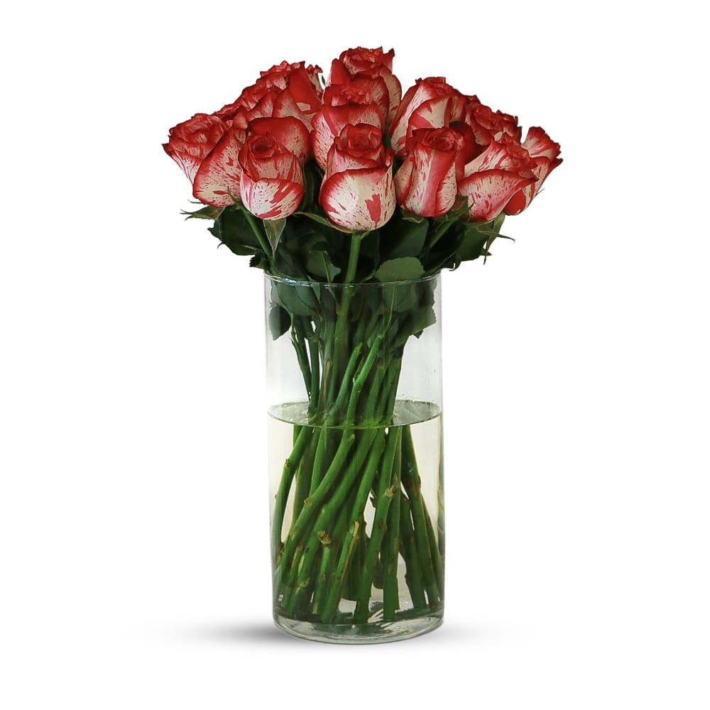 P11 25 Magic Times Roses with Glass Vase