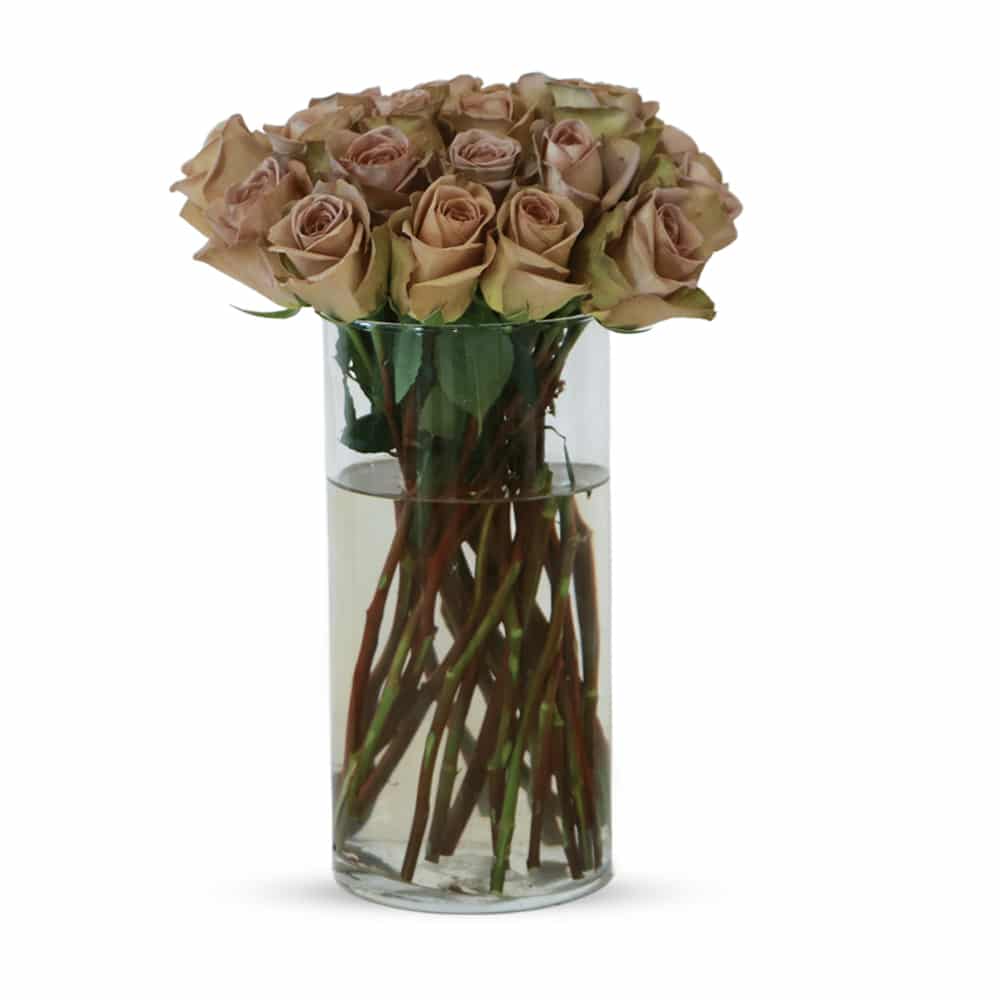P12 25 Amnesia Roses with Glass Vase