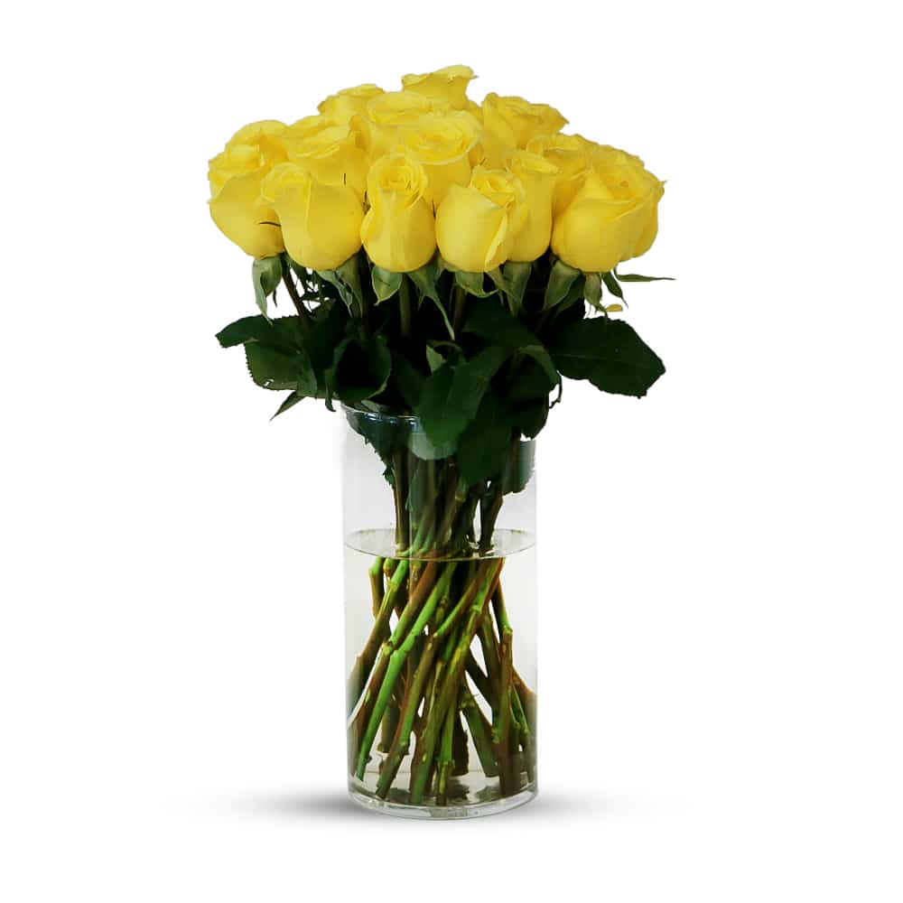 P2 25 Yellow X-Citing Garden Rose with Glass Vase