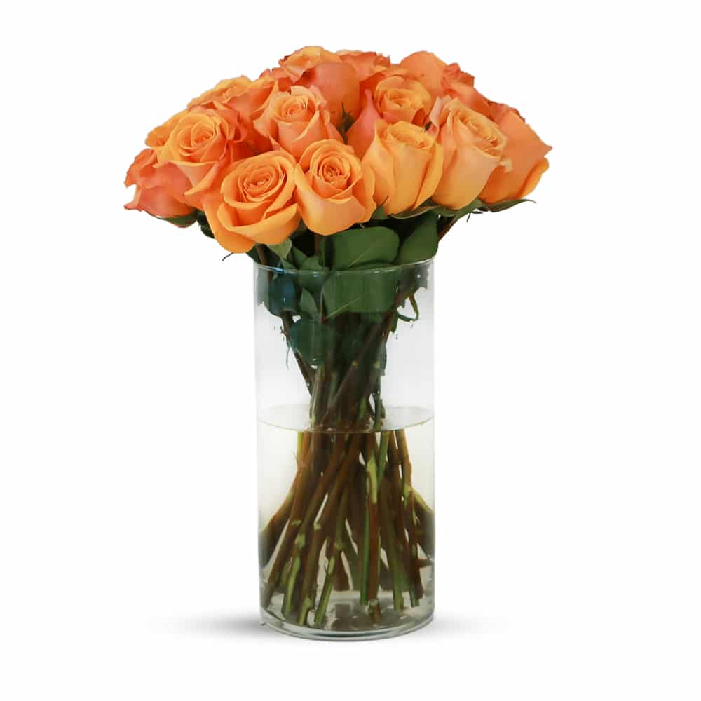 P5 25 Taxo Roses with Glass Vase