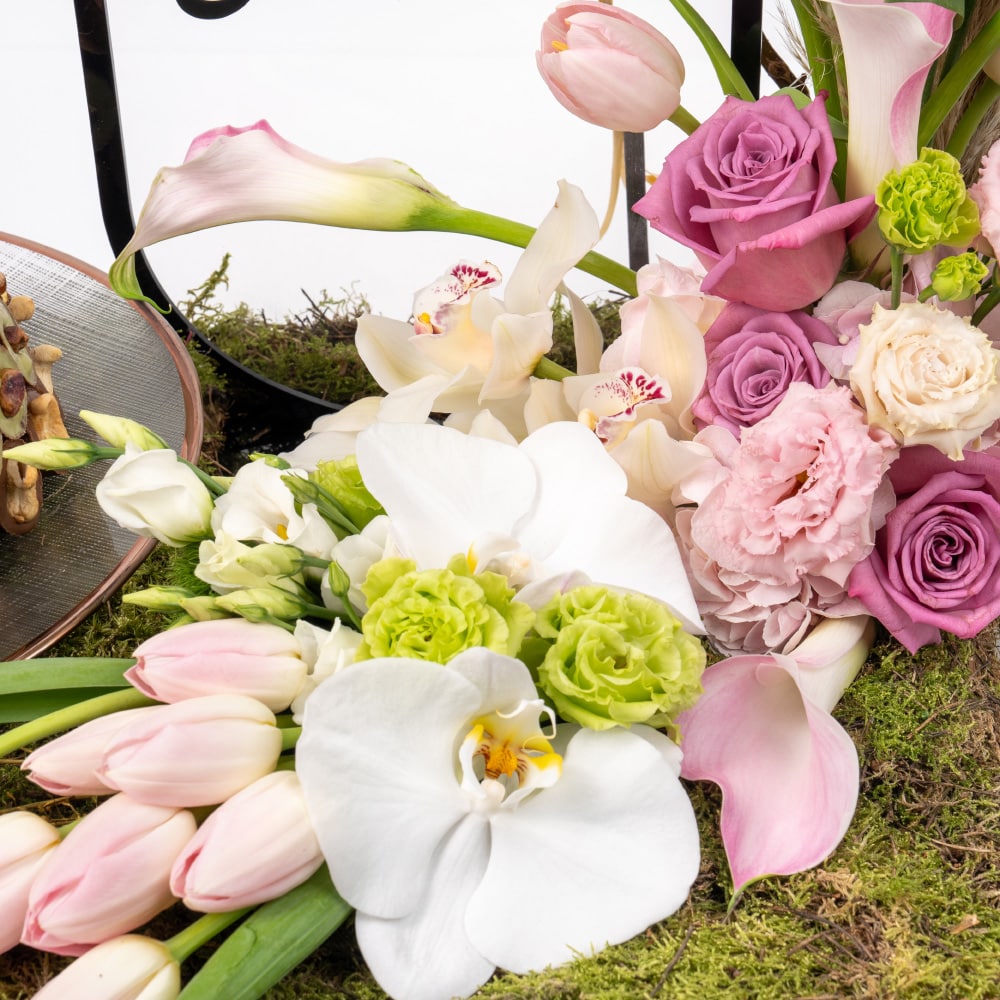 3.4 Pink Gerbera and Tulip Celebration with Nuts and Chocolates
