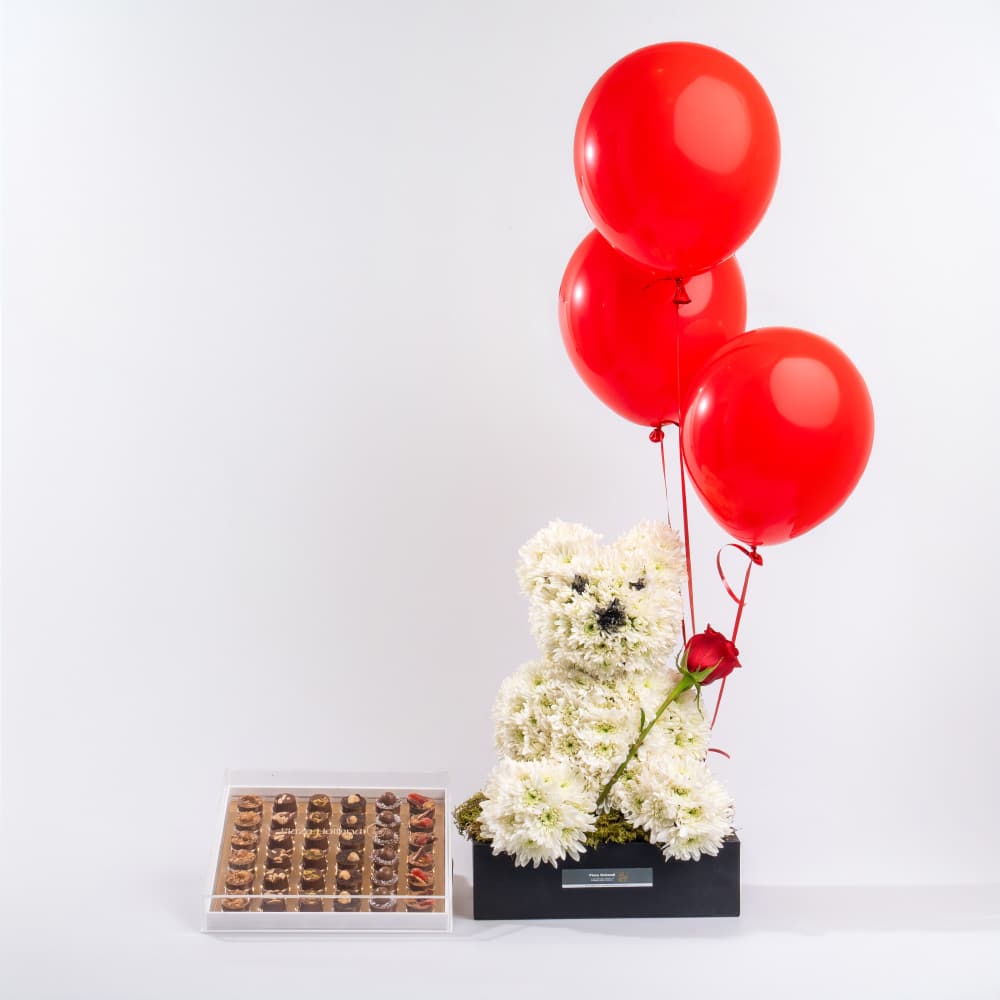 6 Cuddly White Bear Celebration