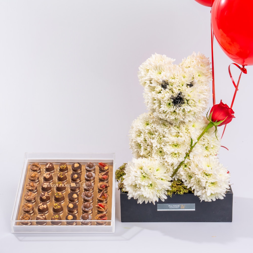6.3 Cuddly White Bear Celebration