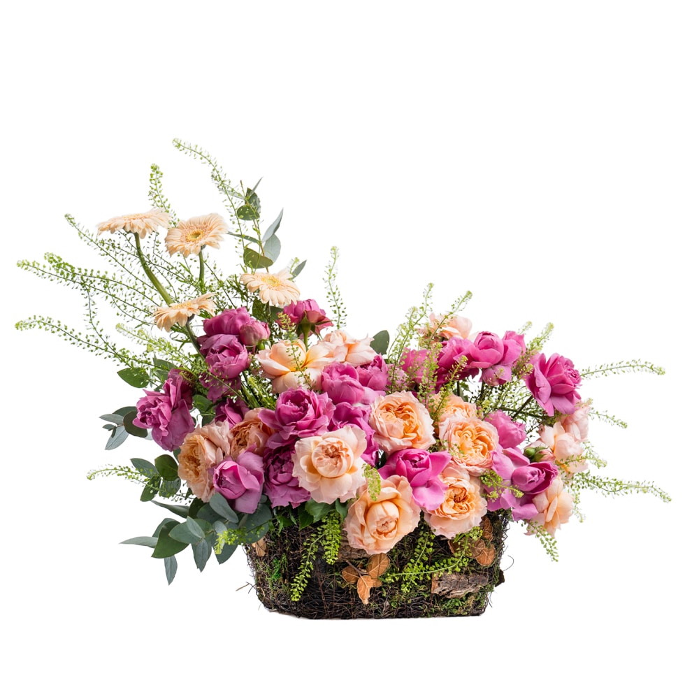 Au 02.jpf Peach & Pink Gerbera Delight
