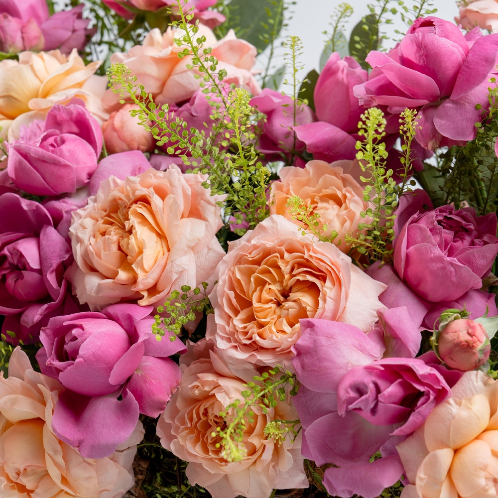 Au 02A.jpf Peach & Pink Gerbera Delight